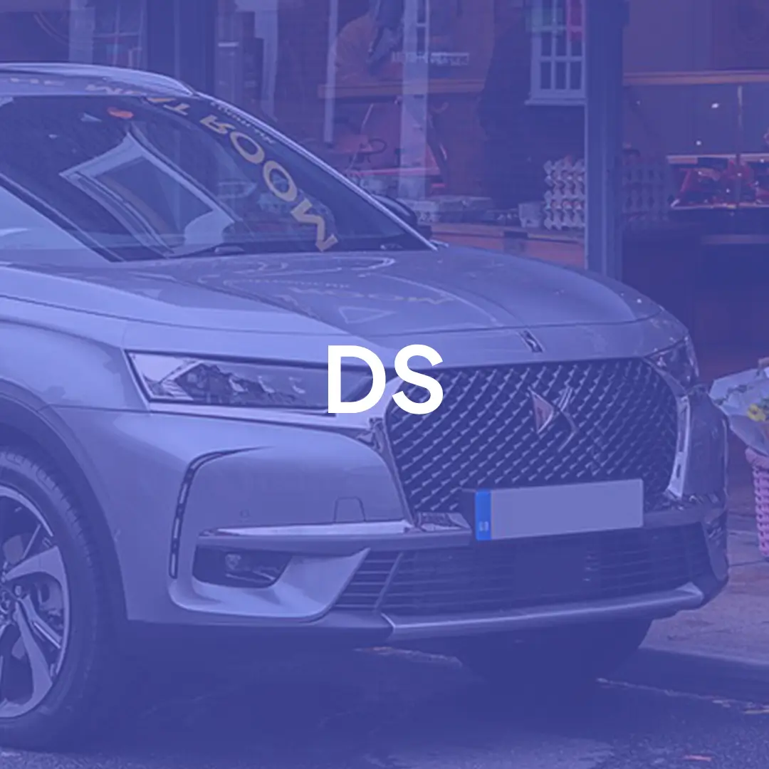 Logo Ds